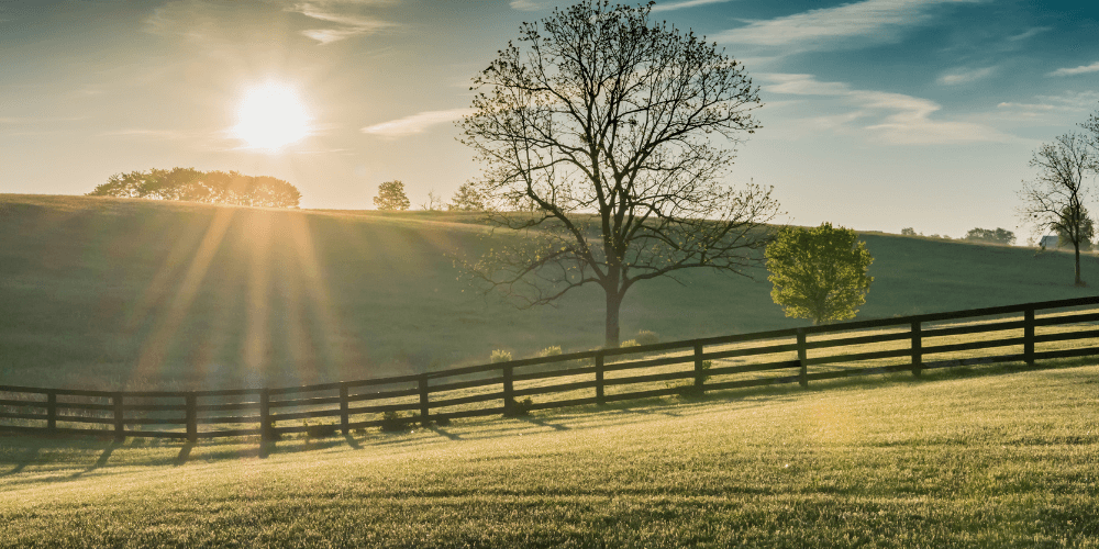 Uncovering the Path to Recovery: Drug Treatment Centers in Kentucky