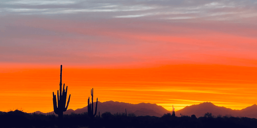 Vibrant sunset over desert landscape in Arizona, with silhouetted cacti and mountains in the background.